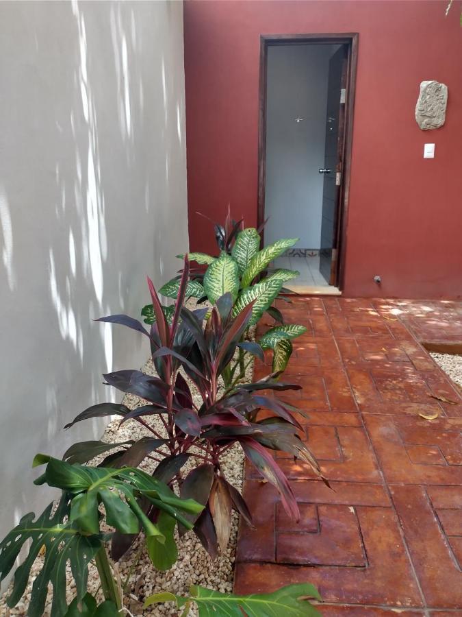 Casa Nicte-Ha Valladolid バリャドリッド エクステリア 写真