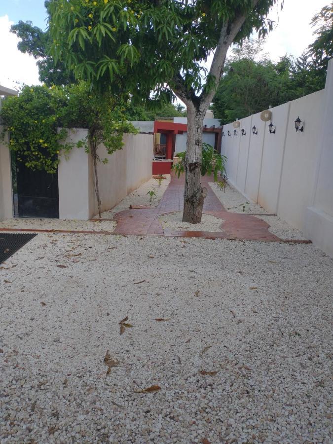 Casa Nicte-Ha Valladolid バリャドリッド エクステリア 写真